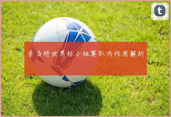 奈马特世界杯小组赛队内作用解析