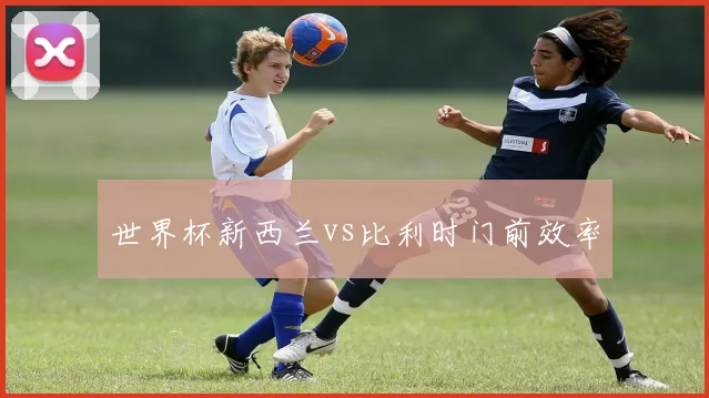 世界杯新西兰vs比利时门前效率
