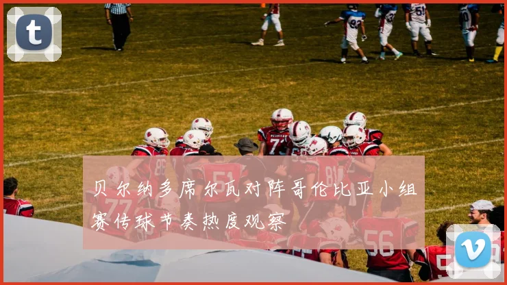 贝尔纳多席尔瓦对阵哥伦比亚小组赛传球节奏热度观察