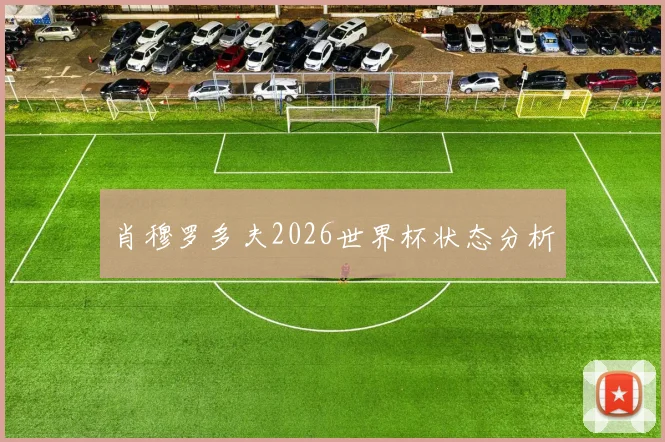 肖穆罗多夫2026世界杯状态分析