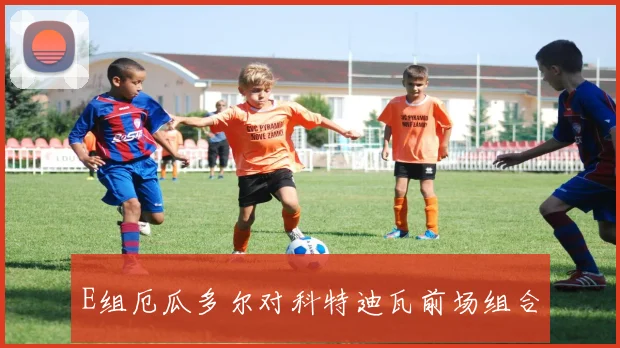E组厄瓜多尔对科特迪瓦前场组合